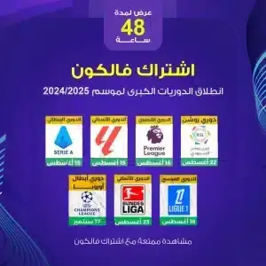 اشتراك فالكون IPTV برو، باقات الاشتراك العائلي، قنوات رياضية مثل الدوري الإنجليزي الممتاز وبيرميرليغ، موسم 2024/2025.